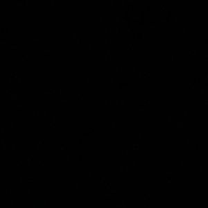 Meet your Posher, Desiree